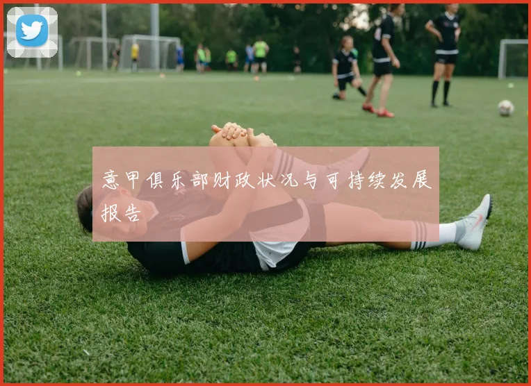 意甲俱乐部财政状况与可持续发展报告